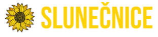 Slunečnice